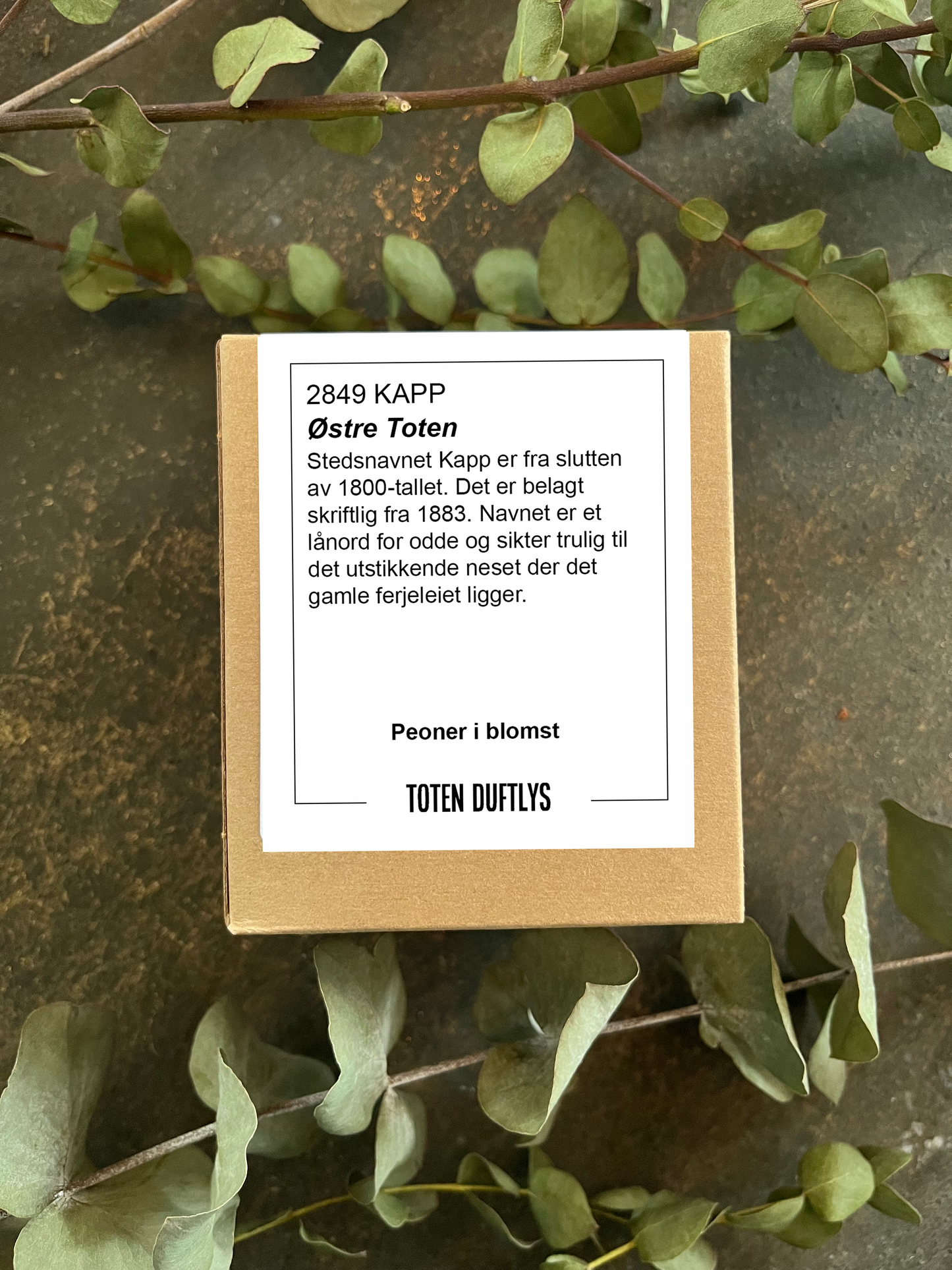 Duftlys - 2849 Kapp 220g