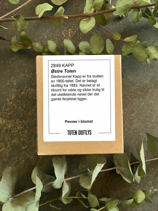 Duftlys - 2849 Kapp 220g